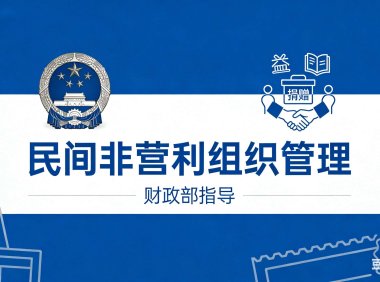 财政部关于印发《民间非营利组织会计制度》的通知